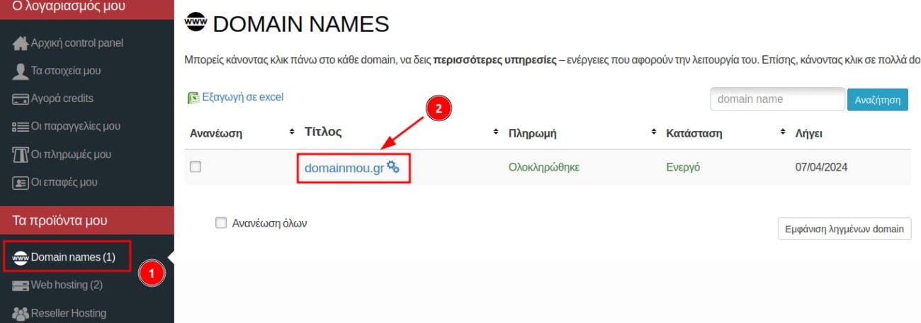 Επιλογή του Domain Name.